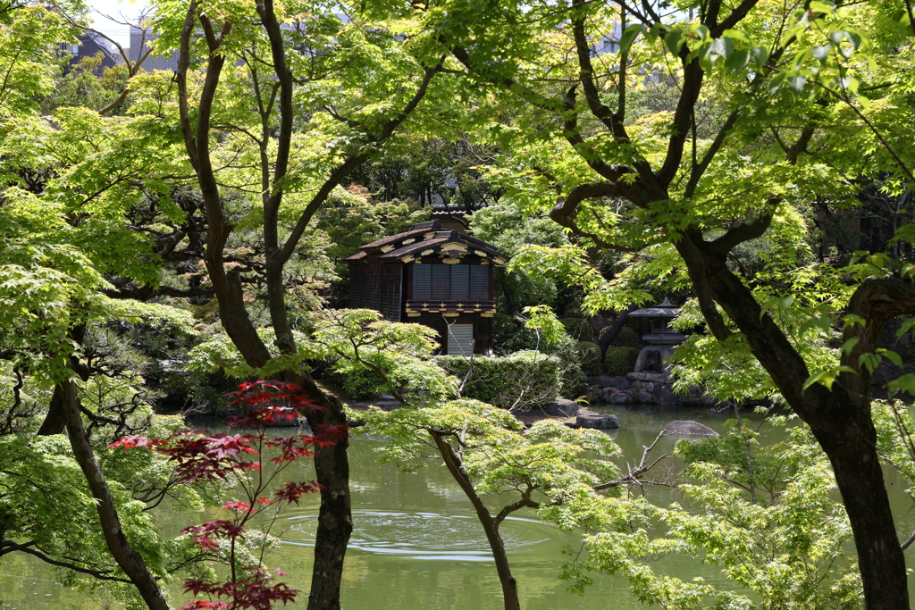 5月23日 相楽園 26
