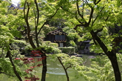 5月23日 相楽園 26