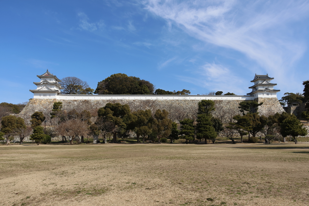 3月5日 明石公園 ５