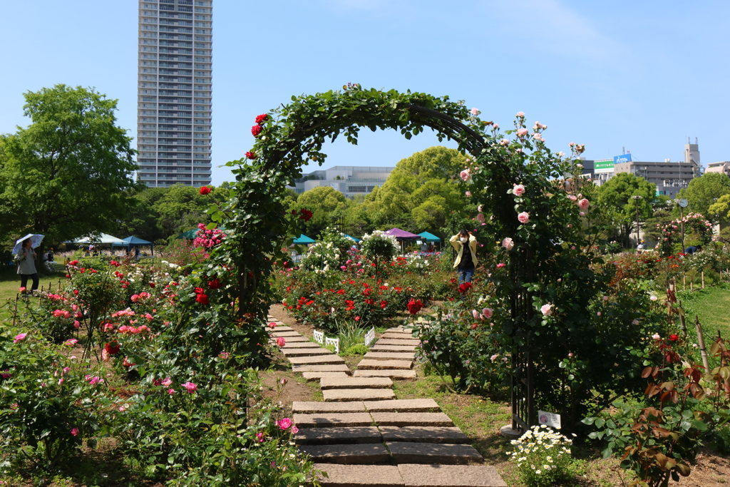 5月21日 明石公園 ９