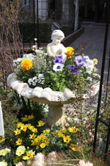 3月20日 布引ハーブ園 ４