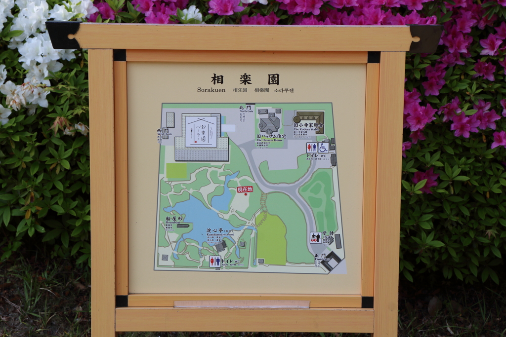4月24日 相楽園 19