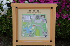 4月24日 相楽園 19