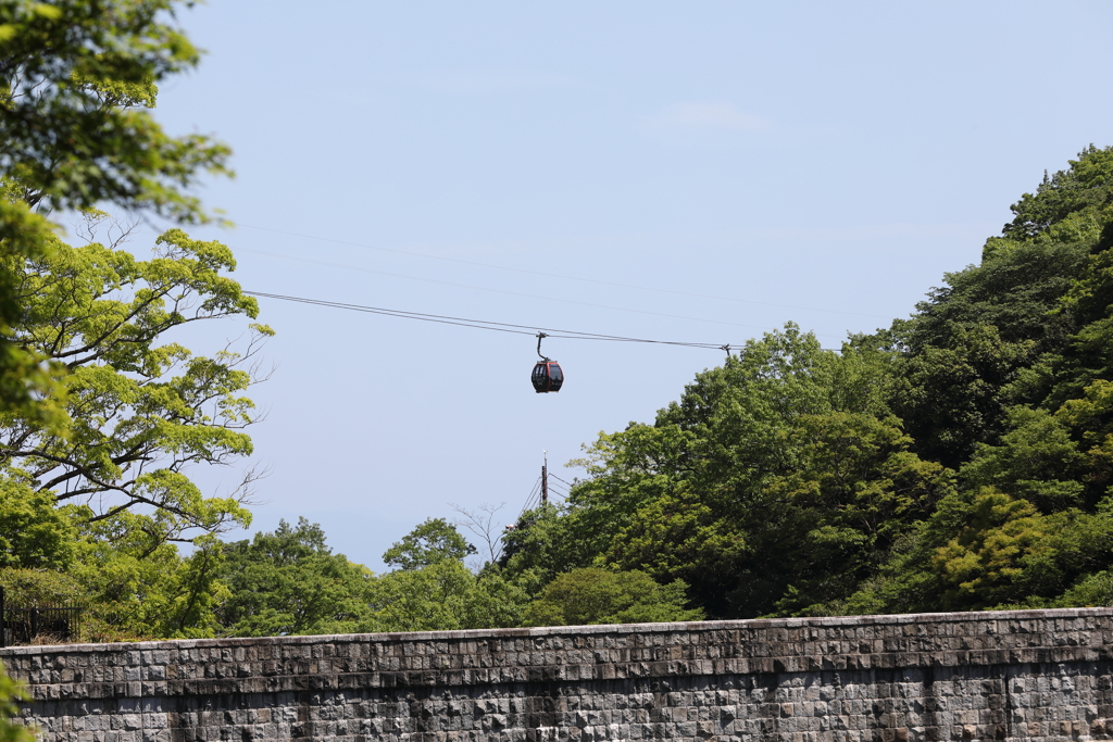 5月5日 布引ハーブ園 43