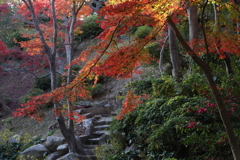 12月6日 須磨離宮公園 26