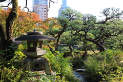 11月16日 相楽園 19