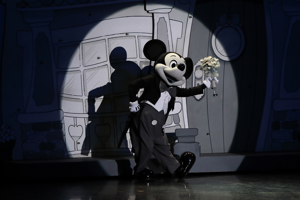 11月22日 東京ディズニーランド 46