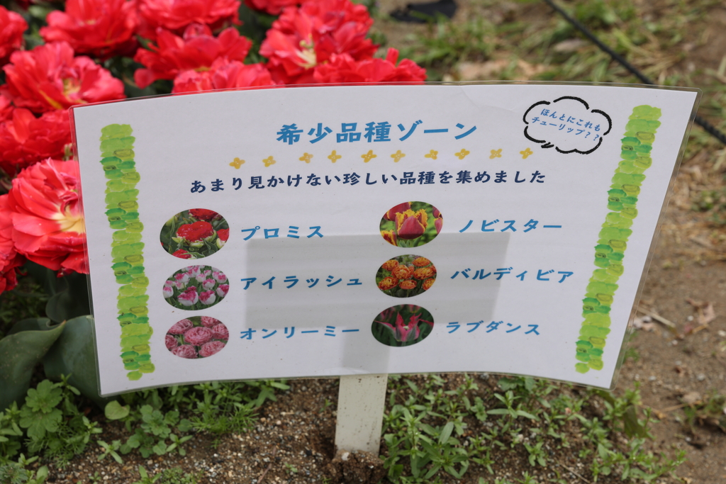 4月18日 万博記念公園 20