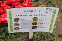 4月18日 万博記念公園 20