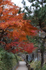 12月7日 布引の滝 27