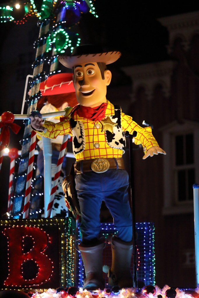 11月22日 東京ディズニーランド 82