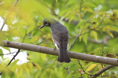 10月31日 明石公園 16