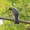 10月31日 明石公園 16