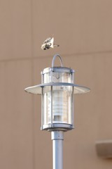 USJ風景 46 USJ風景 46