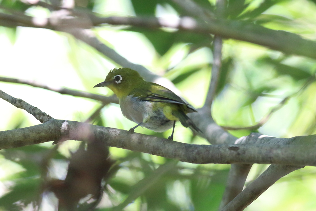 10月2日 明石公園 15