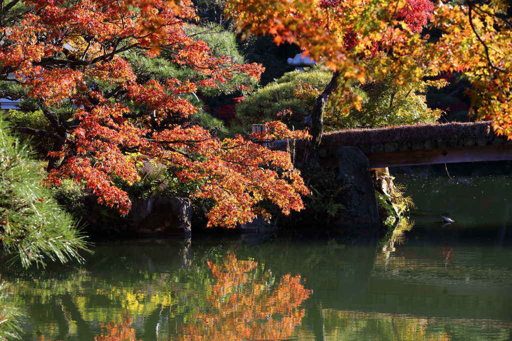 11月24日 相楽園 19