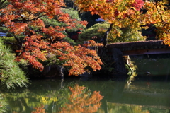 11月24日 相楽園 19 11月24日 相楽園 19