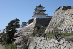 4月11日 明石公園 44