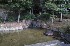 3月5日 岡本公園 ５