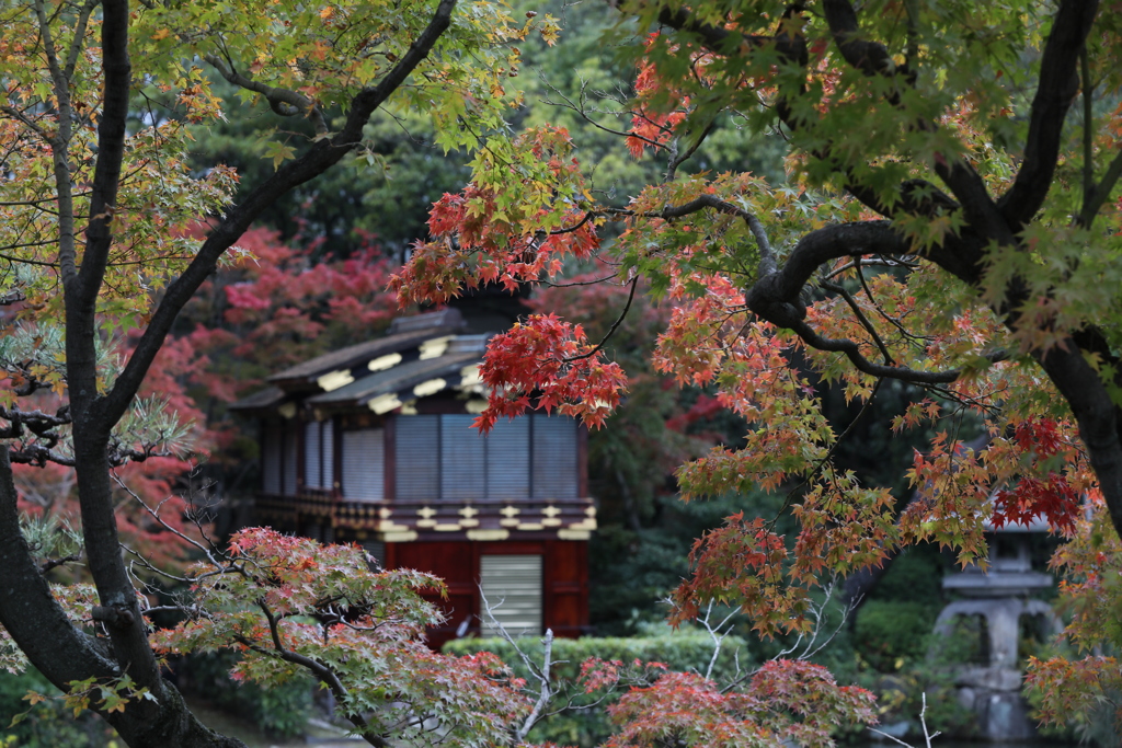11月11日 相楽園 13