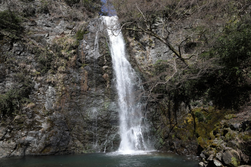 3月12日 箕面公園 11