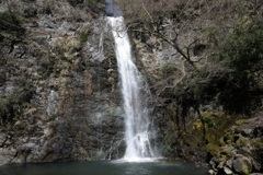 3月12日 箕面公園 11