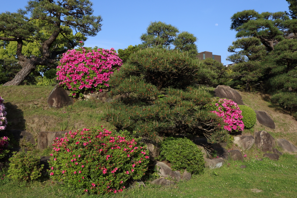4月24日 相楽園 38