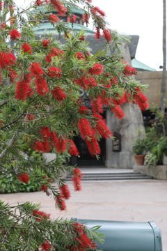 5月17日のUSJ １