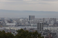 3月20日 布引の滝 ２