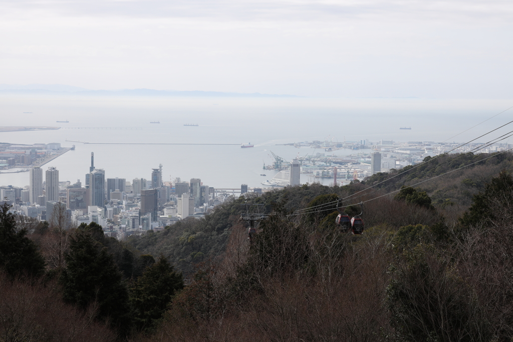3月20日 布引ハーブ園 13