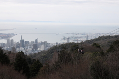 3月20日 布引ハーブ園 13