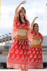 11月4日 インディアメーラー