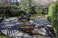 3月20日 京都嵐山 65