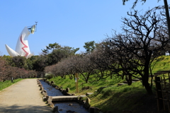 3月19日 万博記念公園 ８