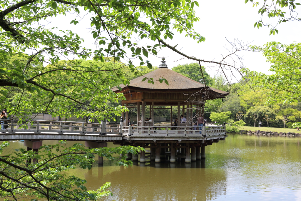 5月2日 奈良 17
