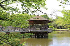 5月2日 奈良 17