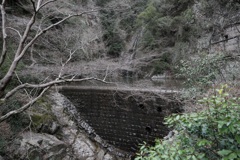3月20日 布引の滝 ８