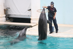 6月11日 須磨海浜水族園 16