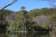 3月20日 京都嵐山 59