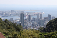 9月21日 布引ハーブ園 29