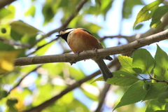 10月17日 明石公園 ５