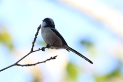 10月2日 明石公園 14
