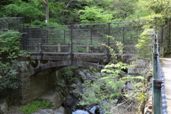 谷川橋