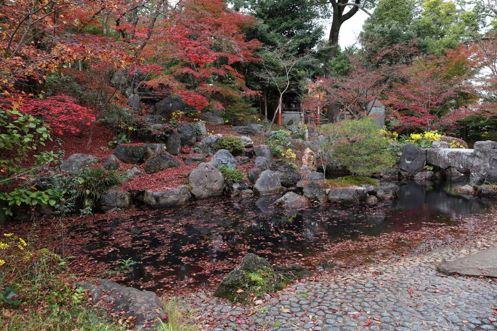 11月23日 京都 11