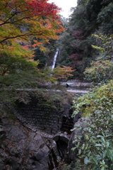 12月7日 布引の滝 39