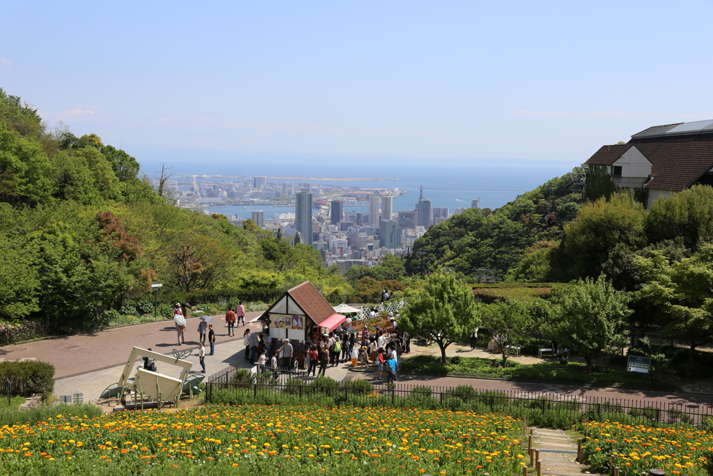 5月4日の布引ハーブ園 15