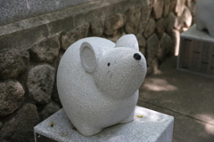 5月14日 長距離散歩 49