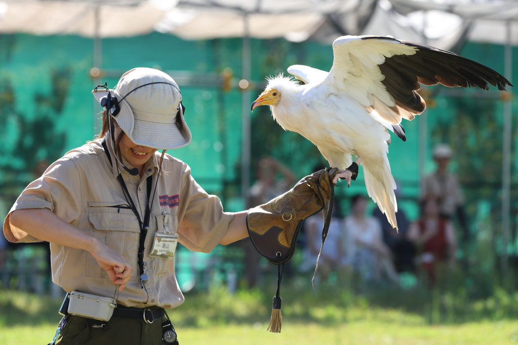 8月11日 神戸どうぶつ王国 40