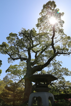 4月21日 相楽園 3 4月21日 相楽園 3