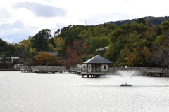 11月23日 京都 １